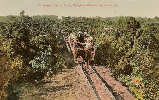 Everglades Observatory